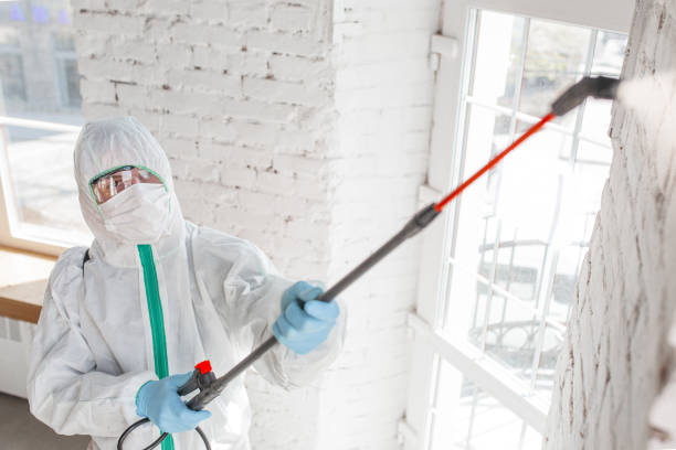 Best Mold Prevention Services  in Laurence Harbor, NJ