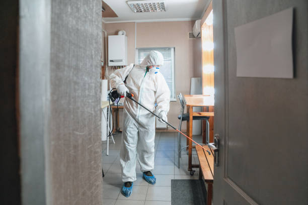 Best HVAC Mold Inspection and Cleaning  in Laurence Harbor, NJ
