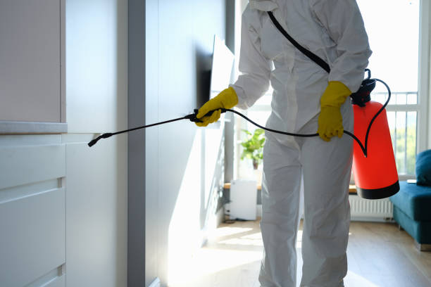 Best Environmental Consulting for Mold Prevention  in Laurence Harbor, NJ