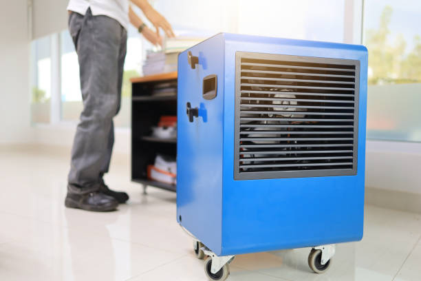 Best Forensic Mold Investigation  in Laurence Harbor, NJ